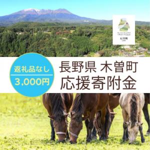 ふるさと納税 木曽町 【返礼品なし】長野県木曽町応援寄附金(3,000円)