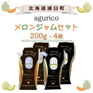 ふるさと納税 浦臼町 北海道産 agurico メロンジャムセット　200g×4個