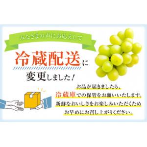 ふるさと納税 韮崎市 山梨 韮崎市産 秀品 シ...の詳細画像3