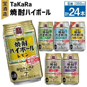 ふるさと納税 高鍋町 TaKaRa焼酎ハイボール レモン・ドライ・特製サイダー・特製レモン・ぶどう・シークワーサー計24本