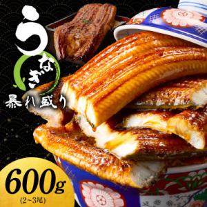 ふるさと納税 泉佐野市 【訳あり】うなぎ 蒲焼き 暴れ盛り 合計 600g 真空パック G3503