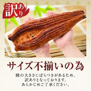 ふるさと納税 泉佐野市 【訳あり】うなぎ 蒲焼...の詳細画像1