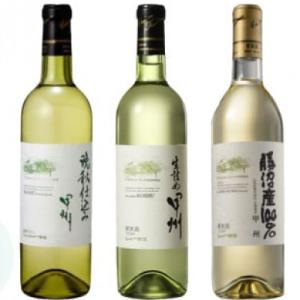 ふるさと納税 甲州市 シャトー勝沼おすすめ白ワイン3本セット　C1-484