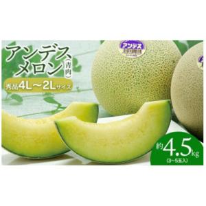 ふるさと納税 米 つや姫 岐阜県 恵那市 スピード配送 〈ふるさと納税 