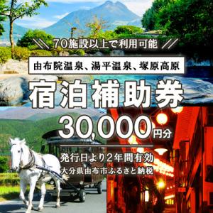ふるさと納税 由布市 由布市(湯布院、由布院、湯平、塚原高原)ふるさと納税宿泊補助券30,000円分