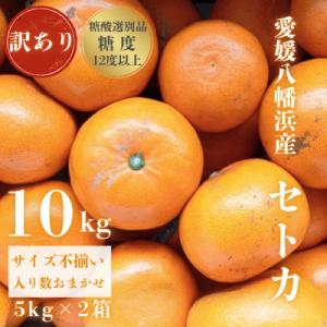 ふるさと納税 八幡浜市 【みかんの大トロ】糖度12.0以上酸1.4以下 糖酸選別品 訳あり愛媛セトカ10kg【G20-75】｜Yahoo!ふるさと納税