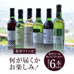 ふるさと納税 甲州市 【ソムリエ厳選ワイン】勝...の詳細画像1