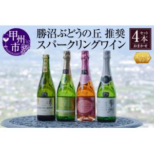 ふるさと納税 甲州市 【ソムリエ厳選ワイン】勝沼ぶどうの丘推奨スパークリングワイン4本セット(KBO...