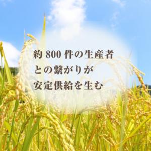 ふるさと納税 大網白里市 千葉県産『房乃誉』精...の詳細画像3