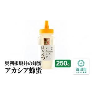 ふるさと納税 沼田市 奥利根坂井のアカシア蜂蜜 250g×1本 坂井養蜂場