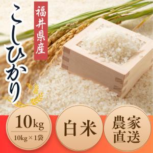 ふるさと納税 小浜市 令和8年産【新米】福井県産こしひかり　白米10kg