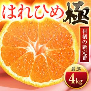 ふるさと納税 八幡浜市 【太陽をたっぷり浴びた】はれひめ【極】4kg【C49-81】