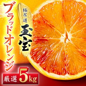 ブラッドオレンジのおすすめ人気商品一覧 通販 - Yahoo!ショッピング