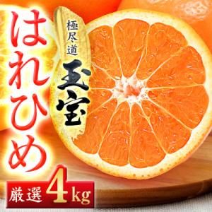 ふるさと納税 八幡浜市 【愛媛名産】玉宝はれひめ　4kg【C64-70】