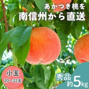 ふるさと納税 豊丘村 【南信州産】あかつき桃　秀品　小玉20〜22玉　約5kg　2026年7月下旬〜順次発送