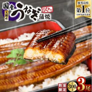 ふるさと納税 鹿屋市 【訳あり】【数量限定】鹿児島県 大隅産 うなぎ 蒲焼き 3尾 セット 計300...