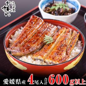 ふるさと納税 松山市 愛媛県松山産　大サイズの国産うなぎ蒲焼150g4本セット(600g~676g)