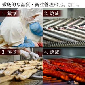 ふるさと納税 志布志市 鹿児島県産うなぎ蒲焼 ...の詳細画像2