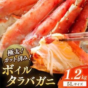 ふるさと納税 京丹後市 【極太!カット済み】ボイルタラバガニ5Lサイズ(1.2kg)かに鍋や焼きガニ...