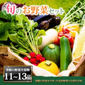 ふるさと納税 阿蘇市 季節のお野菜セットXL 旬のお野菜の中から11〜13品を厳選してお届け