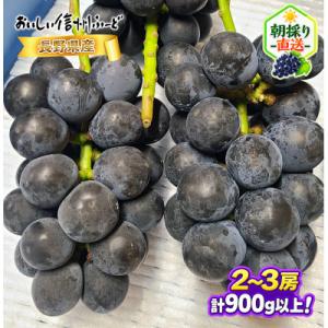 ふるさと納税 長野県 【ちょっと訳あり】新鮮朝...の詳細画像1