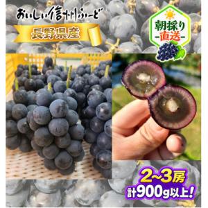 ふるさと納税 長野県 【ちょっと訳あり】新鮮朝...の詳細画像2