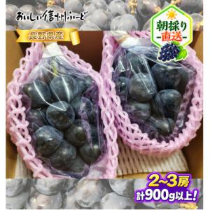ふるさと納税 長野県 【ちょっと訳あり】新鮮朝...の詳細画像3