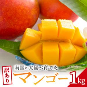 ふるさと納税 糸満市 【2026年発送予定】【訳あり】アップルマンゴー1kg(2〜4玉)