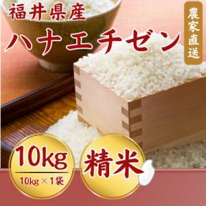ふるさと納税 小浜市 【新米】令和8年産福井県産ハナエチゼン10kg・白米　