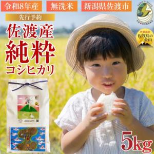 ふるさと納税 佐渡市 数量限定【令和8年産】新潟...の商品画像