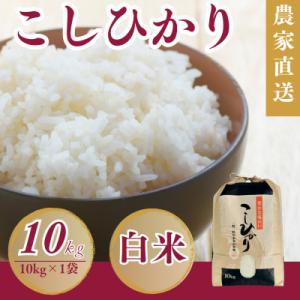 ふるさと納税 小浜市 令和7年産新米 こしひかり白米10kg
