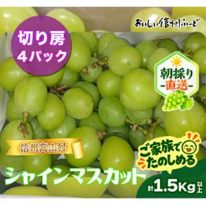 ふるさと納税 高山村 【新鮮朝採り】シャインマスカット《切り房 4パック》 1.5kg以上! 202...