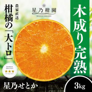 ふるさと納税 八幡浜市 【三つ星ブランド】星乃せとか(3kg)【D45-93】