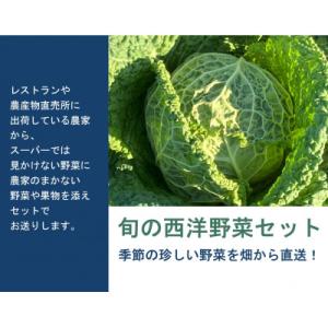 ふるさと納税 多気町 季節の西洋野菜セット