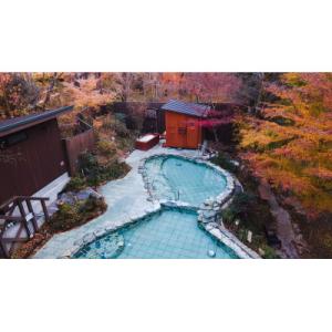 ふるさと納税 南足柄市 日帰り入浴(17時〜) 宵湯券 10枚セット+1枚