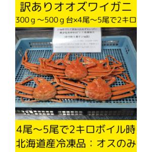 ふるさと納税 白老町 訳ありオオズワイガニ　4尾から5尾入で2kg　冷凍便