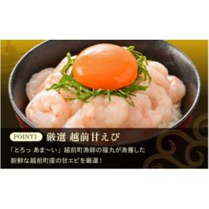 ふるさと納税 越前町 殻むき不要!鮮度抜群「甘えび」むき身  1kg(200g × 5袋)背わた処理...