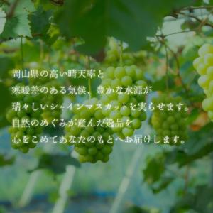 ふるさと納税 井原市 2026年発送【完熟朝採...の詳細画像2
