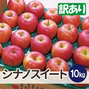 ふるさと納税 黒石市 【26年11月から順次発送】青森 りんご 平均糖度13度以上! シナノスイート 約10kg 訳あり