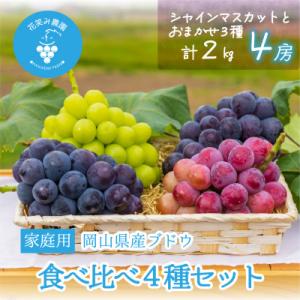 ふるさと納税 津山市 岡山　花笑み農園の『食べ比べ4種』シャイン入り　家庭用　2kg(4房)4M-2