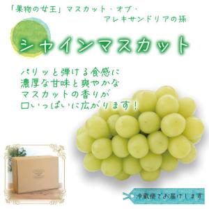 ふるさと納税 津山市 岡山 花笑み農園の『食べ...の詳細画像2