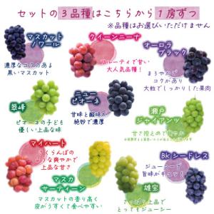 ふるさと納税 津山市 岡山 花笑み農園の『食べ...の詳細画像3