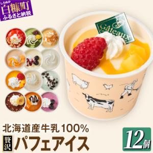 ふるさと納税 白糠町 シラリカパフェアイス 贅沢アソート　12種セット 各1個