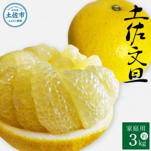 文旦（食品）のおすすめ人気商品一覧 通販 - Yahoo!ショッピング