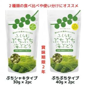 ふるさと納税 糸満市 ふくらむぷちぷち 海ぶどう 塩水タイプ 140g 2種 各2パック お試しセッ...