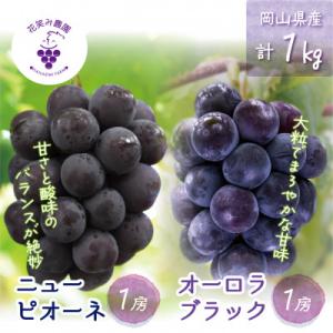 ふるさと納税 津山市 岡山　花笑み農園の『ニューピオーネ&オーロラブラック』1kg(2房)　PA-1