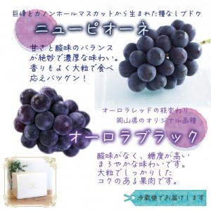 ふるさと納税 津山市 岡山 花笑み農園の『ニュ...の詳細画像1