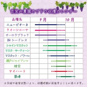 ふるさと納税 津山市 岡山 花笑み農園の『ニュ...の詳細画像3