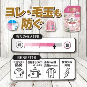 ふるさと納税 高崎市 レノア ハピネス 夢ふわ...の詳細画像1