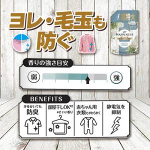 ふるさと納税 高崎市 レノア ハピネス 夢ふわ...の詳細画像1